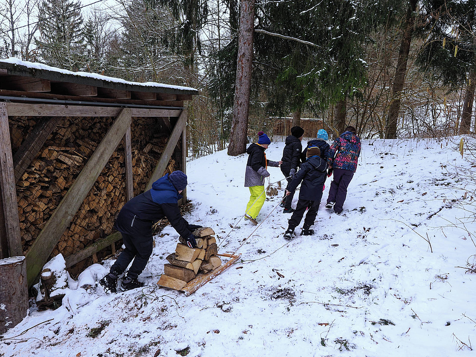 Meute holt Holz für das Lagerfeuer